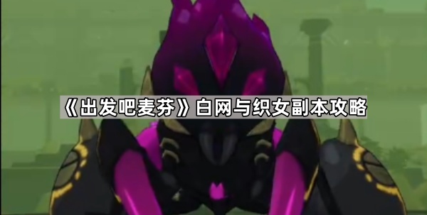 出发吧麦芬白网与织女副本攻略