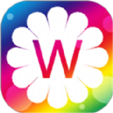 视频壁纸秀秀2025安卓版下载