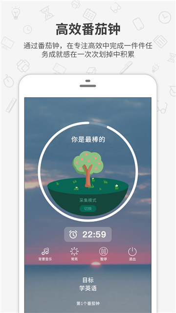 番茄森林2025最新版下载