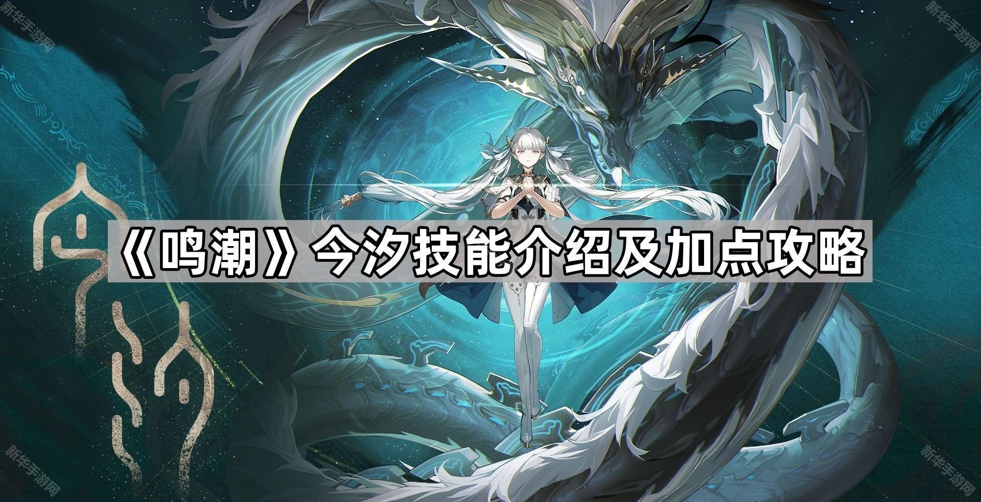 鸣潮今汐技能介绍及加点攻略