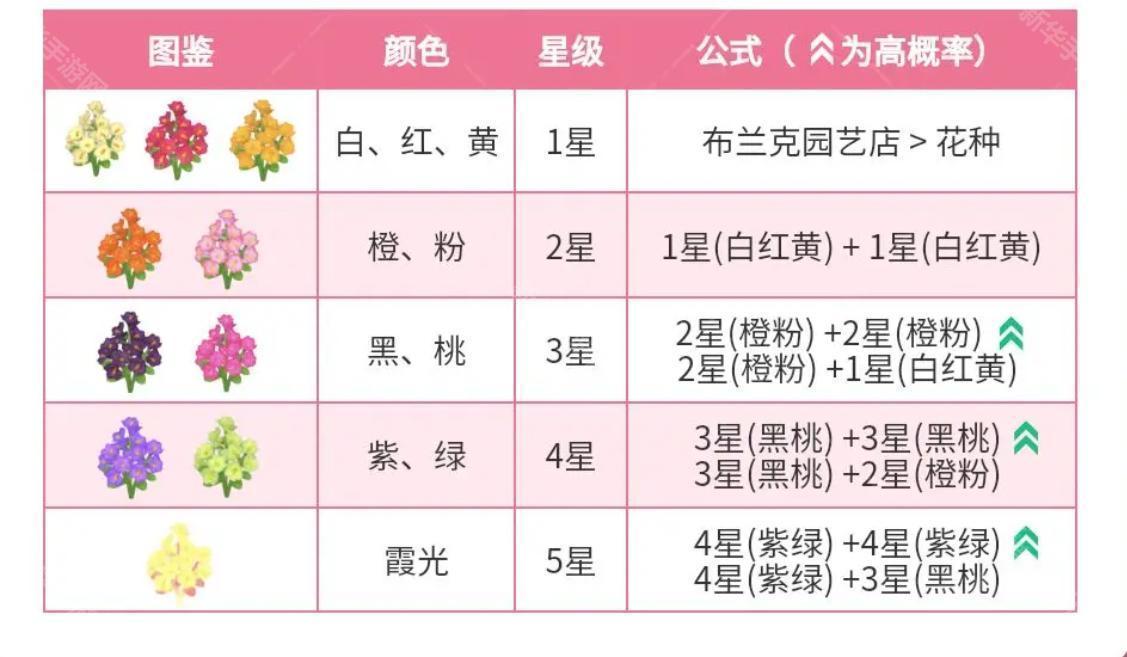 心动小镇春野令迎春花5星攻略
