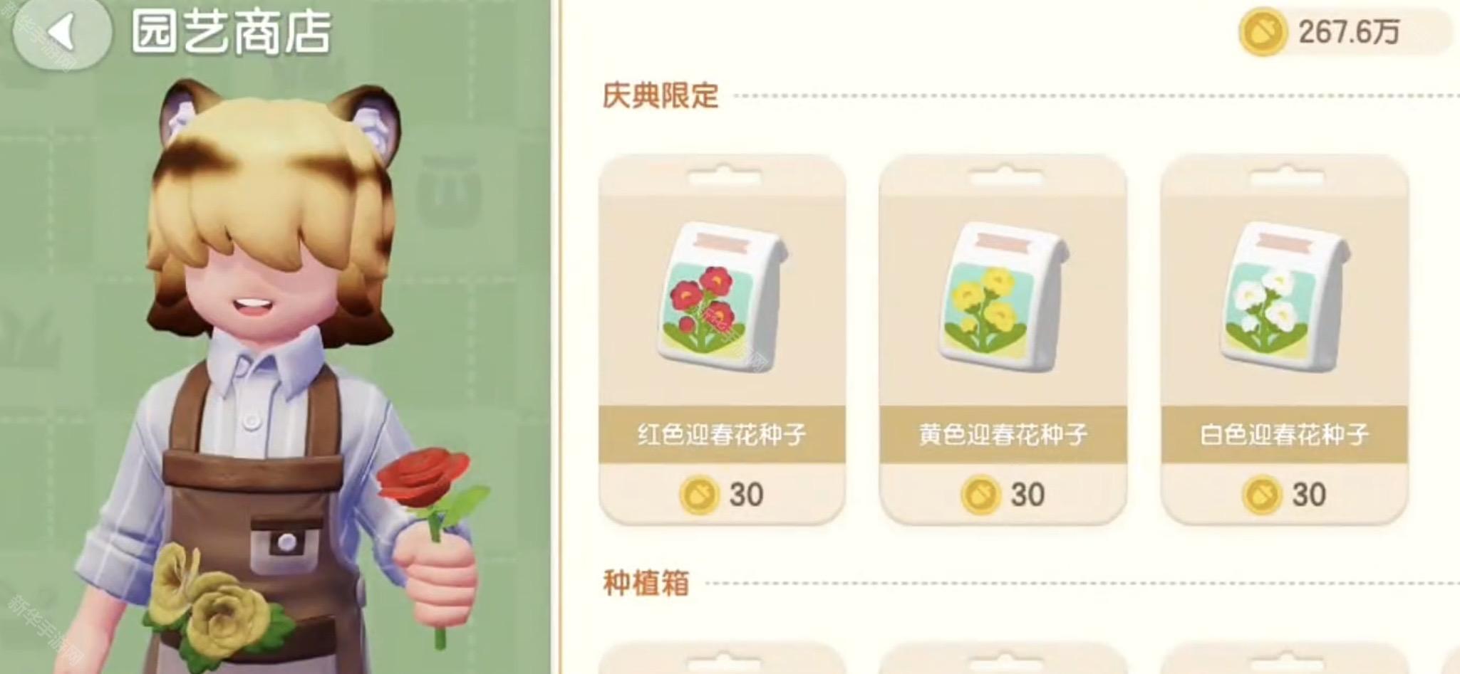 心动小镇春野令迎春花5星攻略