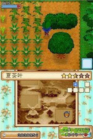 牧场物语游戏攻略2